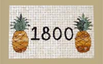 address pineapple